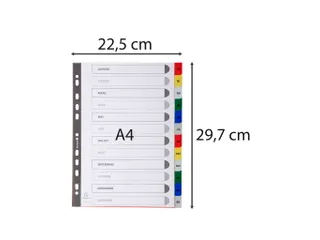 Bedrukte Tabbladen A4 12-delig Jan-dec 11-gaats Frans Assorti - 4