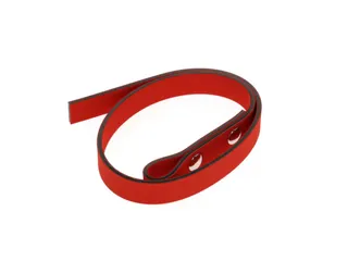 R19991019 Vervangingsband 490mm voor bandsleutel - 1