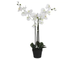 Kunstplant Mica Phalaenopsis orchidee wit in plastic pot 79x51cm