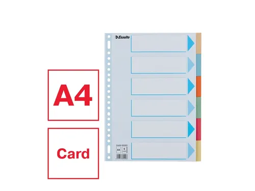 Tabbladen Esselte Premium A4 6-delig karton 23-rings assorti