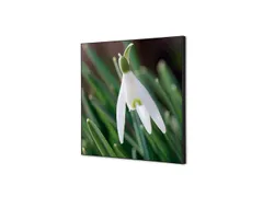 Wanddecoratie Textiel Set 40x40cm Witte Bloem Sneeuwklokje