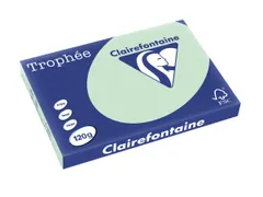 Trophée Intens Gekleurd Papier A4 80 gram 500vel Fluogroen