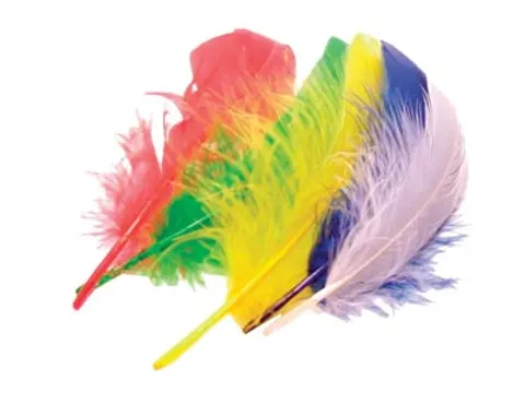 Pluimen 15 Cm, 50 Stuks