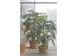Kunstplant Mica Areca palm in plastic pot 150cm