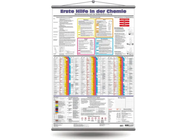 wandbord,EHBO in de chemie,papier,voor ophangen,HxB 1000x700mm
