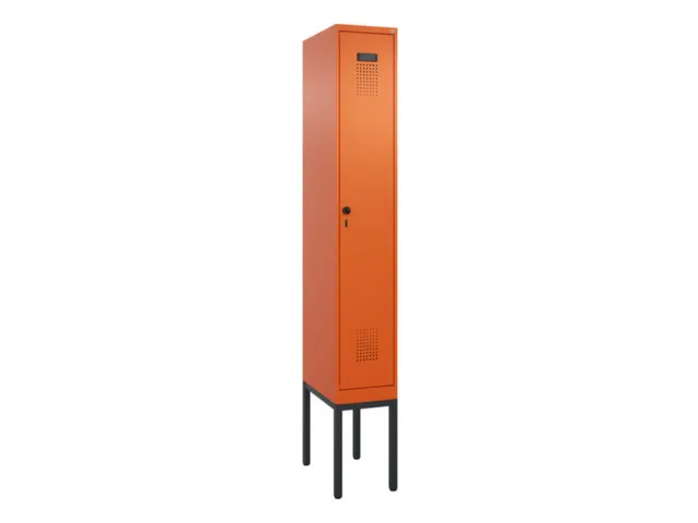 locker voor scheiding van kleding,HxBxD 2120x300x500mm,1vak