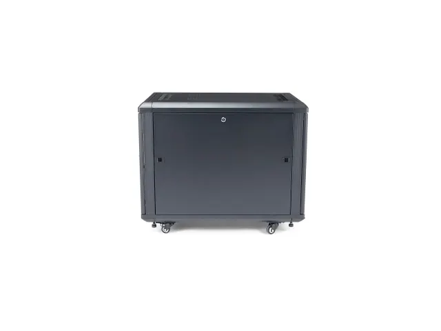 12U Serverkast 19 inch 800kg Vergrendelbaar