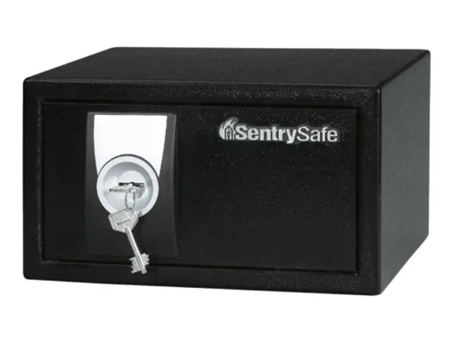 Sentry Safe Kluis X031