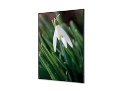 Wanddecoratie Textiel Set A2 Witte Bloem Sneeuwklokje