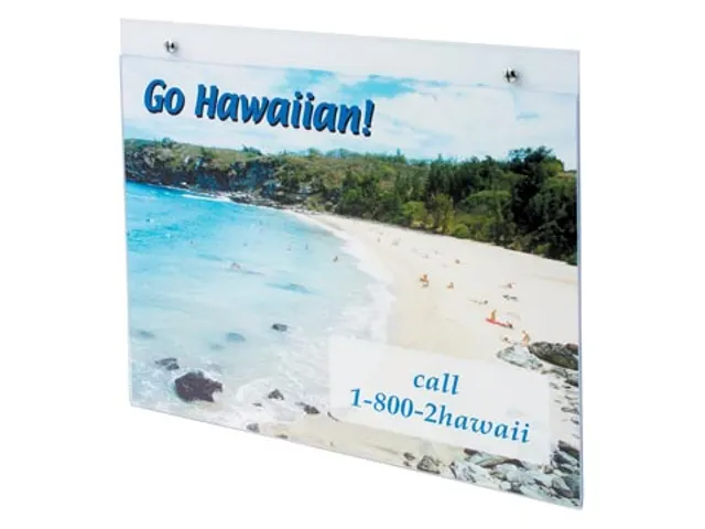 Deflecto Muurfolderhouder Landscape A4