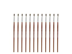 Penseel Kangaro Serie 121 plat Nr. 2 geitenhaar doos 12 stuks