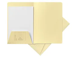 Vouwmap Quantore speciaal A4 310 x 230/230mm lgl