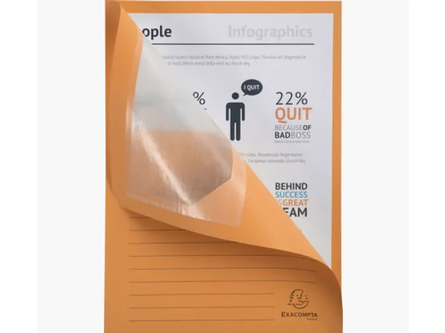 Venstermap Exacompta Forever L-map 120gr karton Oranje