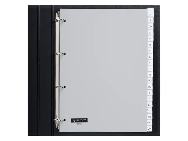 Tabbladen Quantore A4 4-Gaats 20-Delig Met Venster Grijs Pp