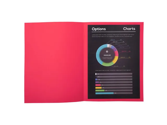 10 dossiermappen ROCK''S 220 24x32cm Framboos