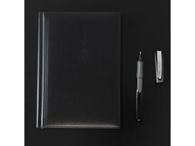 Rollerbalpen Schneider Ray Onyx