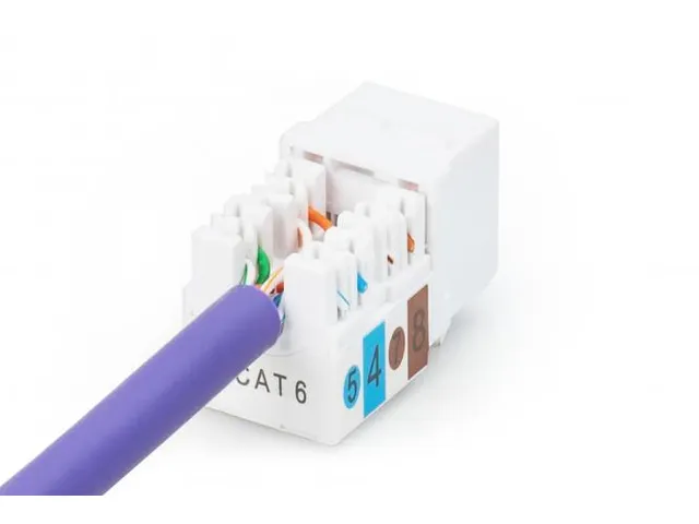 CAT 6 Keystone module onafgeschermd RJ45 naar LSA Wit