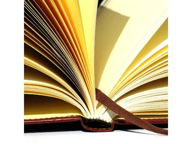 Notitieboek Moleskine large 130x210mm blanco hard cover scarlet red