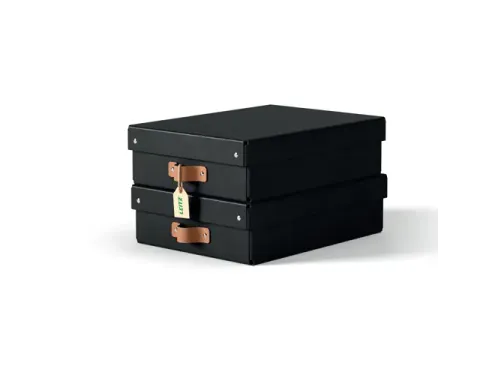 Leitz Puro Opbergdoos met deksel medium laag 8L set van 2 zwart