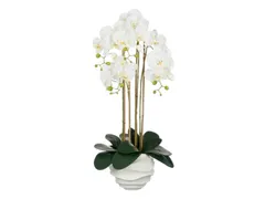 Kunstplant Mica Phalaenopsis in pot wit 40x34x82cm