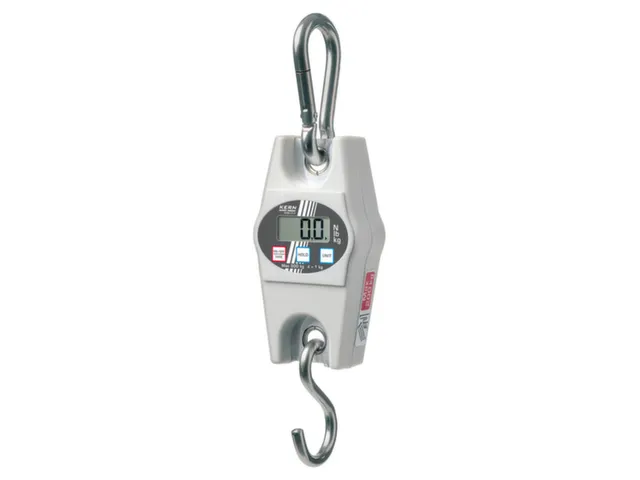 Hangweegschaal Lcd Display Weegbereik 0-100Kg Afleesbaar Per 200G