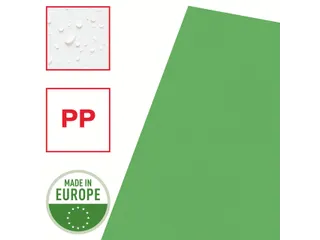 Insteekmap L-map Esselte Standaard A4 0.11mm Pp Groen - 6