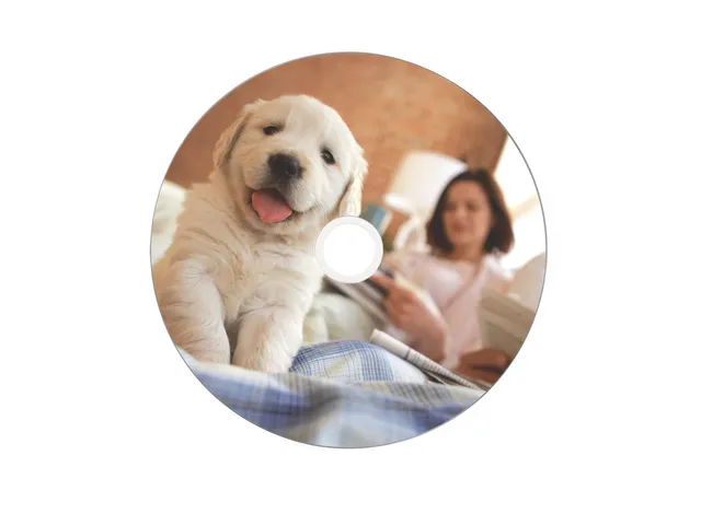 Verbatim CD-R AZO 700MB 52X SP Thermal printable