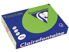 Trophée Intens gekleurd papier A4 80 gram 500vel Grasgroen