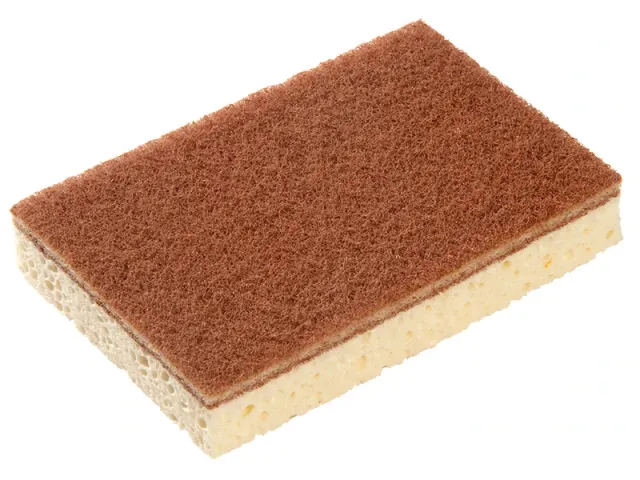 Schuurspons Sponrex 100 6x10 Stuks