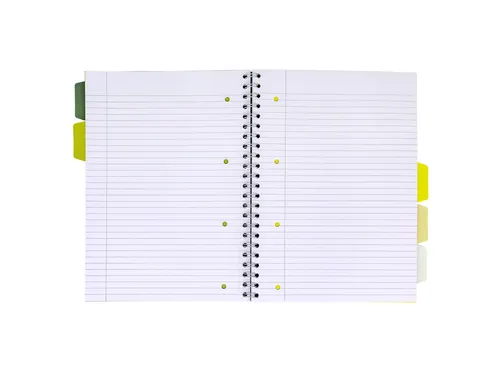 Projectboek Pukka Pad Recycled A4 lijn 5-tabs 4-gaats 200 pagina's 80g