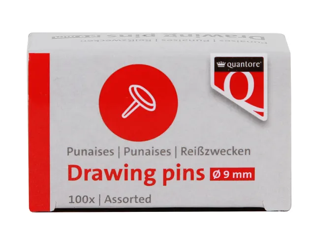 Punaises Quantore 100 stuks assorti