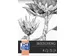 Tekenblok Oxford Sketching A3 50 vel 120 gram