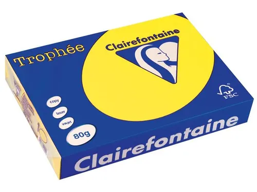 Trophée Intens Gekleurd Papier A4 80 gram 500vel Zonnegeel