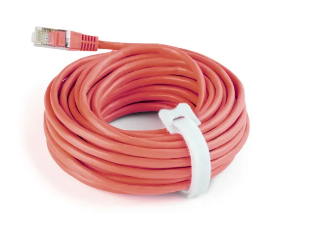 Durable Kabelbinder Cavoline 20x1cm Wit