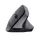 Trust TM-270 Bayo II Ergonomische muis draadloos Zwart 25371