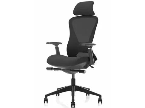 Ergonomische Bureaustoel Arbo NEN-EN 1335 Zwart Mesh Met Hoofdsteun