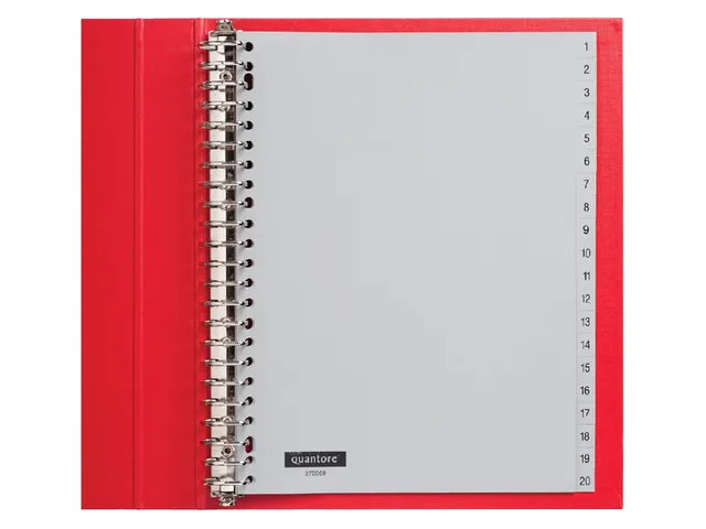 Tabbladen Quantore A4 23-Gaats 1-20 Genummerd Grijs Pp