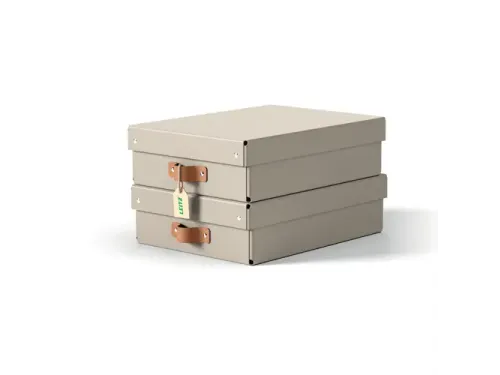 Leitz Puro Opbergdoos met deksel medium laag 8L set van 2 beige