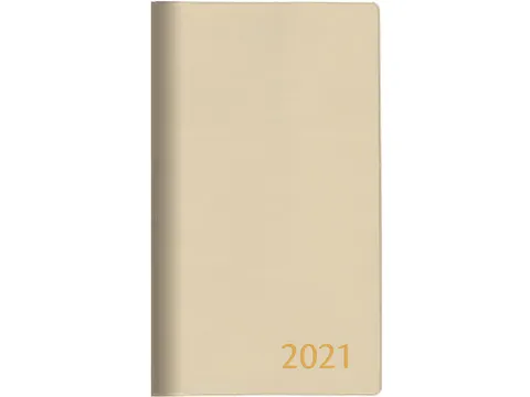 Visuplan 20 zakagenda assorti kleuren 2025