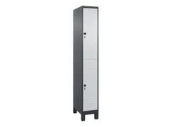 dubbeldekse locker,HxBxD 1950x300x500mm,1x2vak.,vak B 300mm