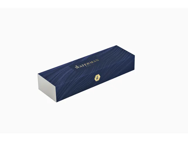 Stylo Bille Waterman Expert Noir Mat CT pointe moyenne
