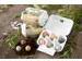 Giftbox Blossombs eierdoosje à 6 zaadbommetjes