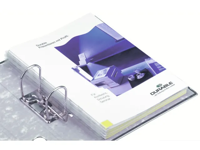 Durable Filefix 250 stuks A4 8061