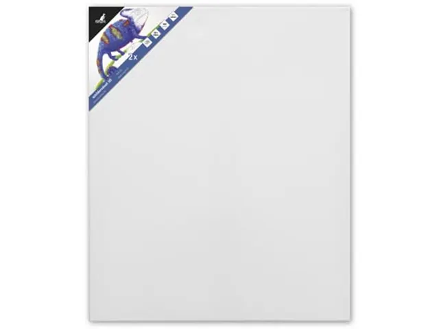 bespannen spieraam 3D 50 x 60 cm set van 2 stuks