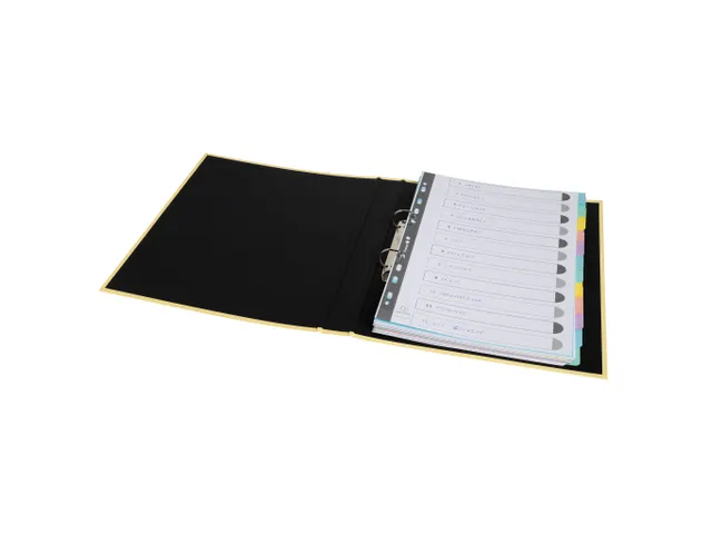 Tabblad In Glanskarton 400G/M2 Aquarel 12 Verdelingen A4 Assorti