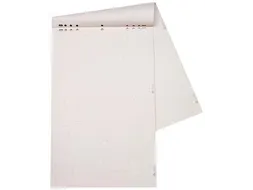 Dahle Papierblok Voor Flipcharts 68x95cm ruit