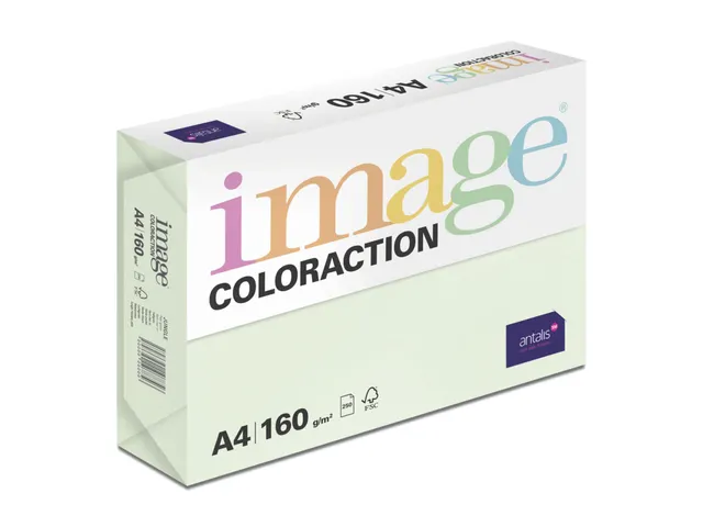 Kopieerpapier Jungle Lichtgroen A4 160 Gram 250 Vel