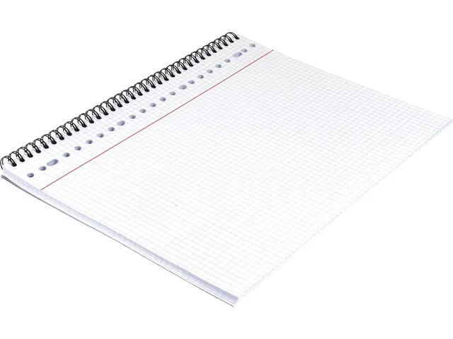 collegedictaat A4 geruit 5 mm 23-gaats 80 vel 90 gram