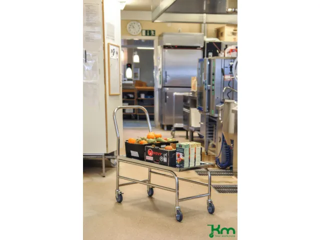 RVS duwbeugelwagen,draagverm. 100kg,laadvl. LxB 735x390mm,RVSplaat