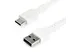 USB 2.0 naar USB-C kabel 1 Meter Wit